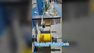 Introduce 8 Cores 12 Cores MPO Patch Cord with PET braiding For You