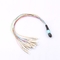 Single Mode Multimode Mpo Fanout Cable For Telecommunication