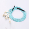 OM4 MTP Fiber Optic Patch Cord High Stability For 40G Networks