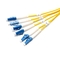 Simplex 6 Core Fiber Optic Patch Cord Length 1m 2m 3m  Low insertion loss